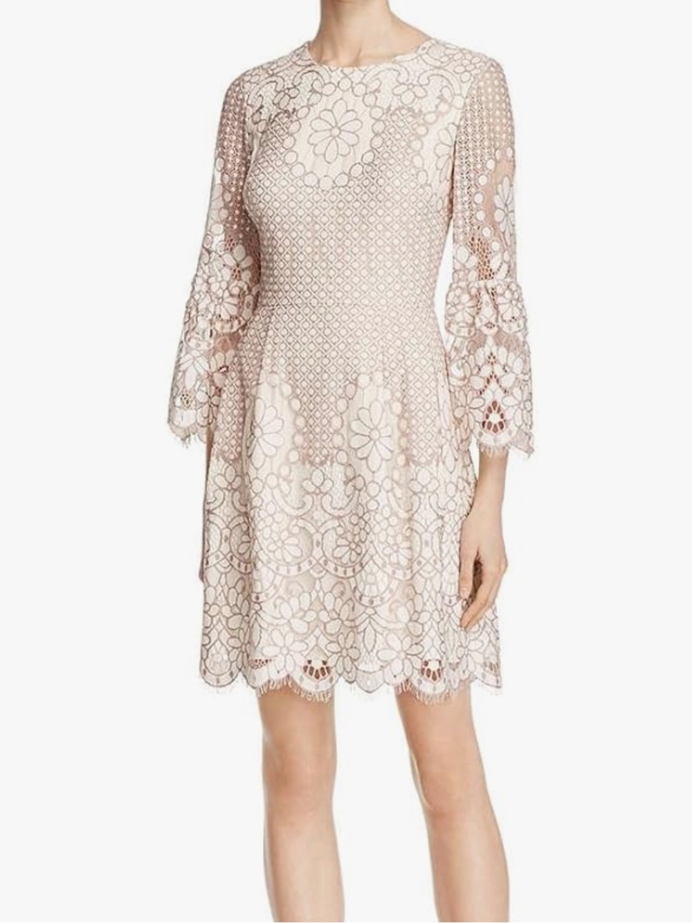 Eliza J Blush Lace Midi Dress with Bell Sleeves